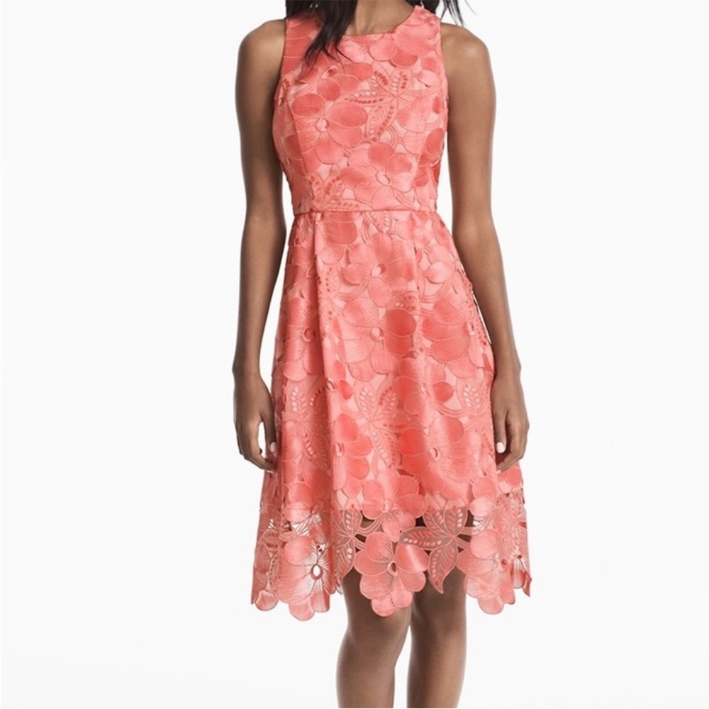 White House Black Market Tonal Gelato Pink Lace Dress Knee Length Size 12 L